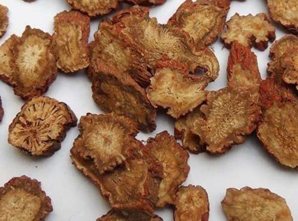 丹参的功效与作用及食用方法