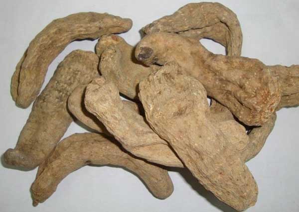 天麻的功效与作用及吃法