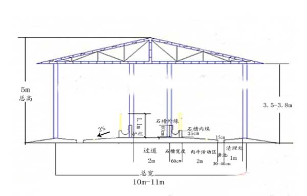 肉牛养牛场建设方法