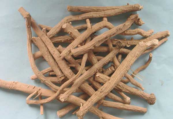 板蓝根