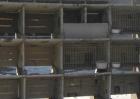 兔子养殖场建筑布局
