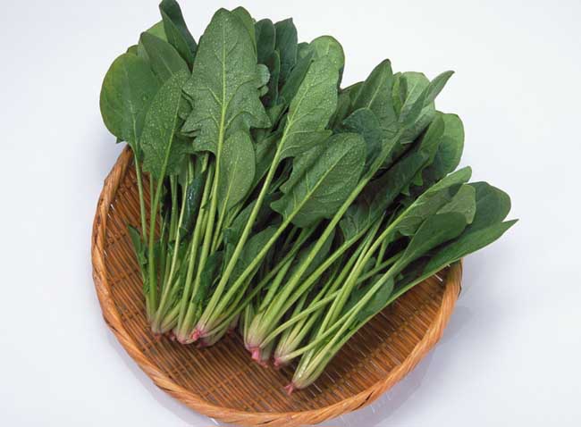 孕妇能吃菠菜吗?