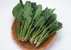 孕妇能吃菠菜吗?