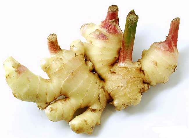生姜发芽能吃吗？