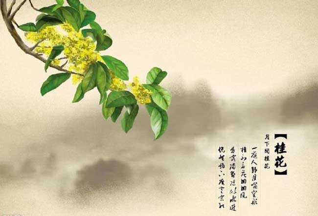 关于描写桂花的古诗词有哪些？