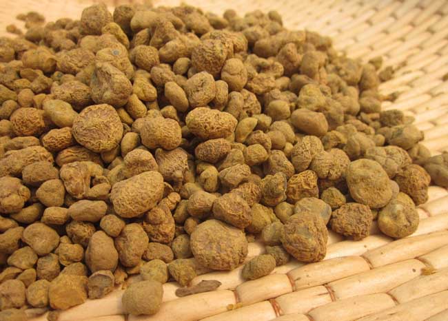 延胡索的功效与作用及禁忌