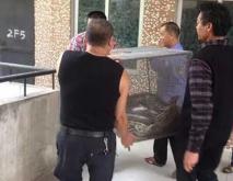 东莞2米长巨蟒惊现公园