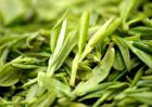龙井茶产地在哪里？