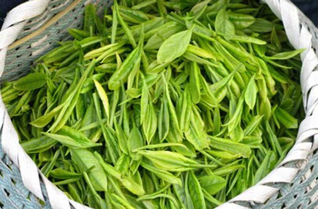 茶叶贮藏技术
