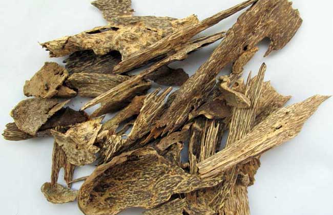 沉香的功效与作用及禁忌