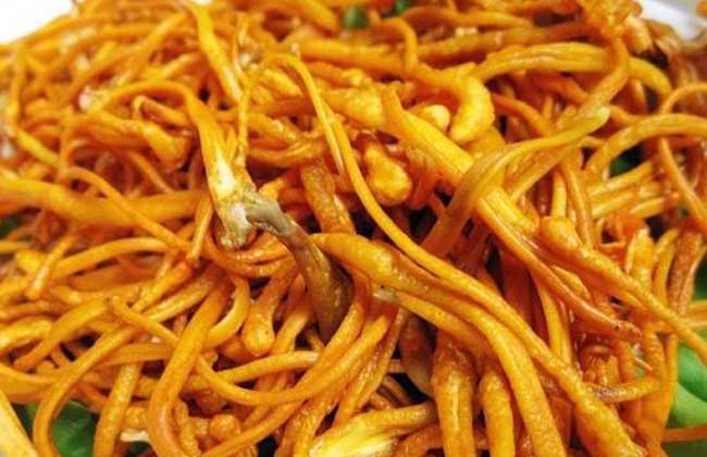 虫草花的功效与作用和食用方法