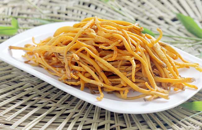 虫草花的功效与作用和食用方法