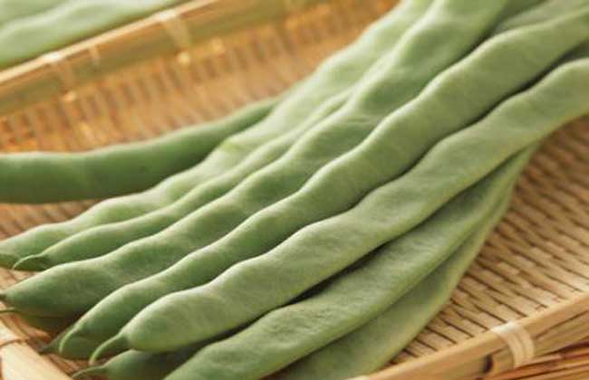 四季豆和豆角的区别