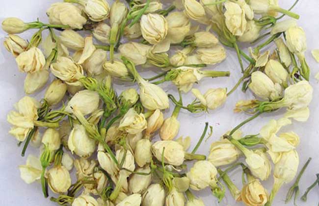 茉莉花茶产地分布及主要品种