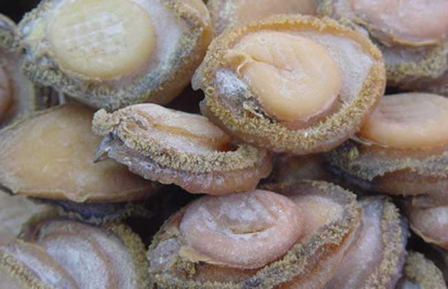 禾麻鲍