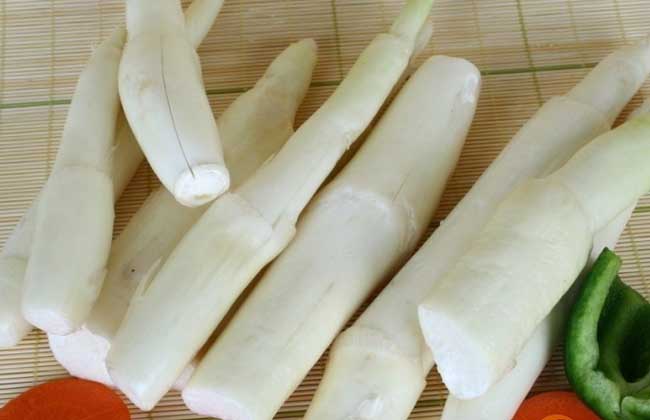 茭白