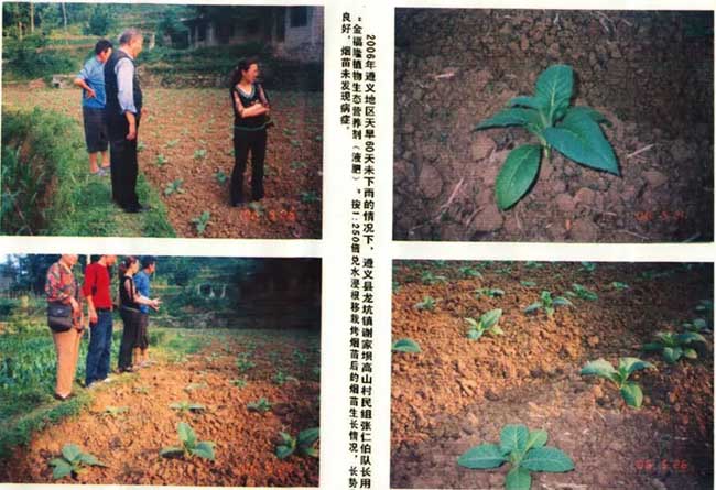 金福隆植物生态营养剂（液肥）