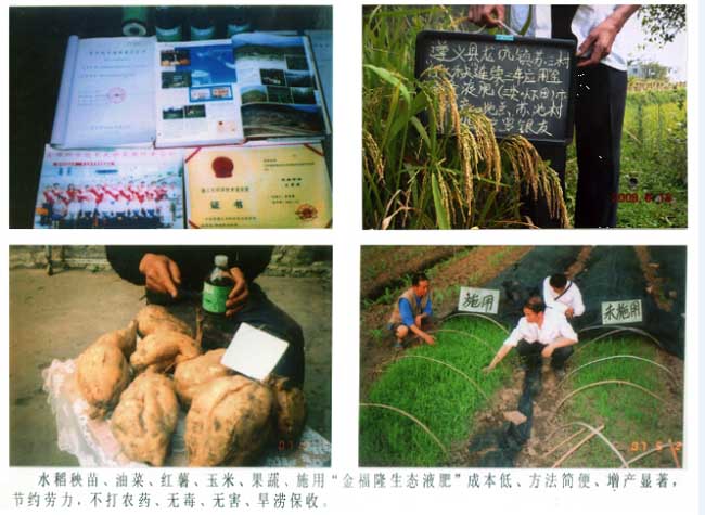 金福隆植物生态营养剂（液肥）