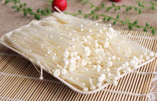 金针菇熟料栽培技术