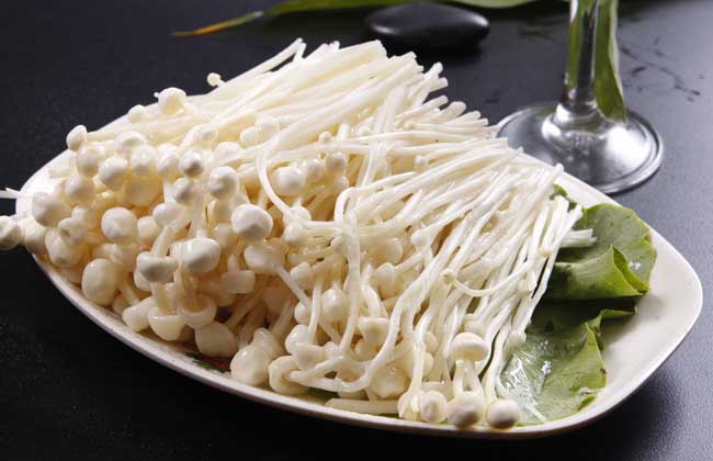 金针菇生料栽培技术