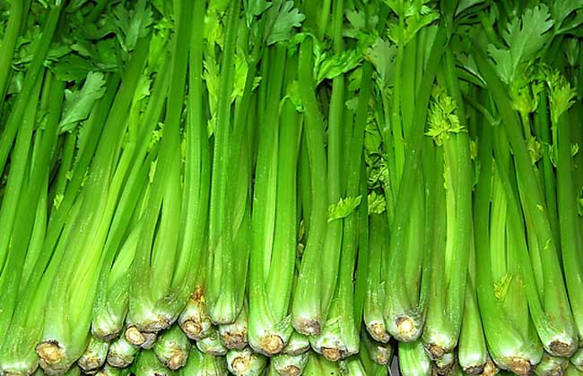 芹菜的选购方法