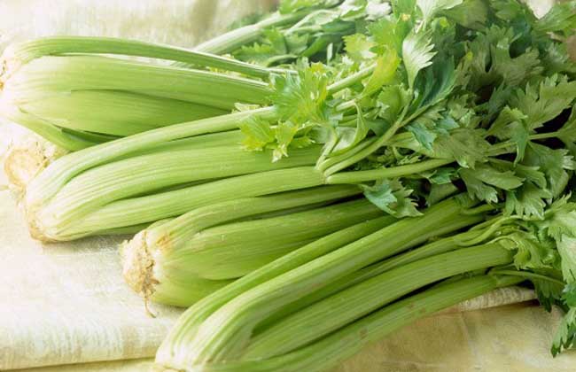芹菜的营养价值