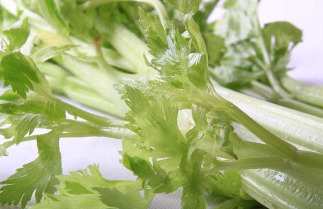 芹菜杀精吗？