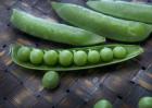 豌豆、黄豆、蚕豆的区别