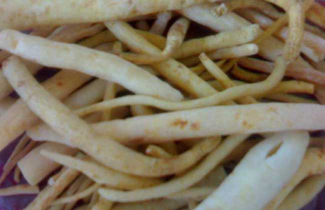 沙参