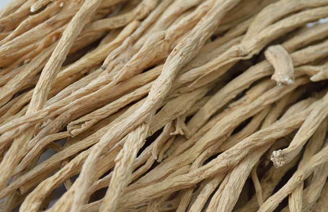 党参的功效与作用及食用方法