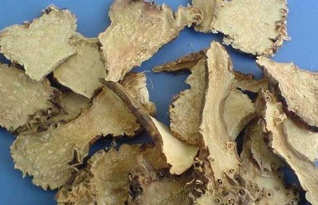 射干的功效与作用