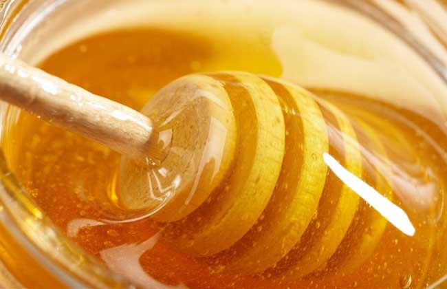 蜂蜜的种类图片大全