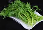 孕妇能吃茼蒿吗？
