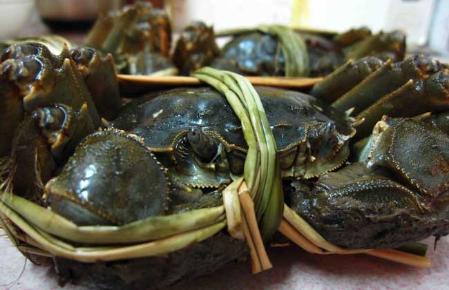 大闸蟹