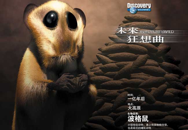 波格鼠