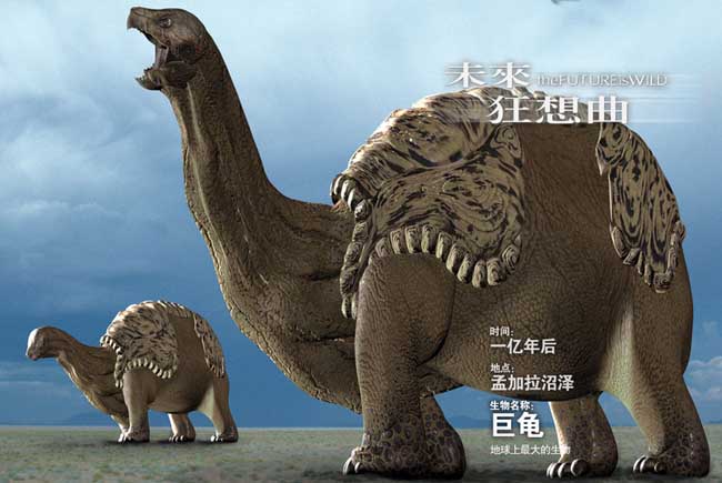 巨龟