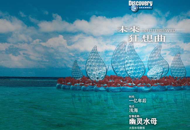 幽灵水母