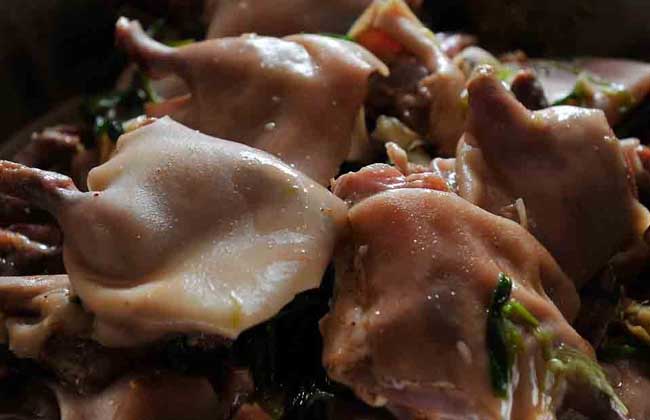 老鼠肉能吃吗？