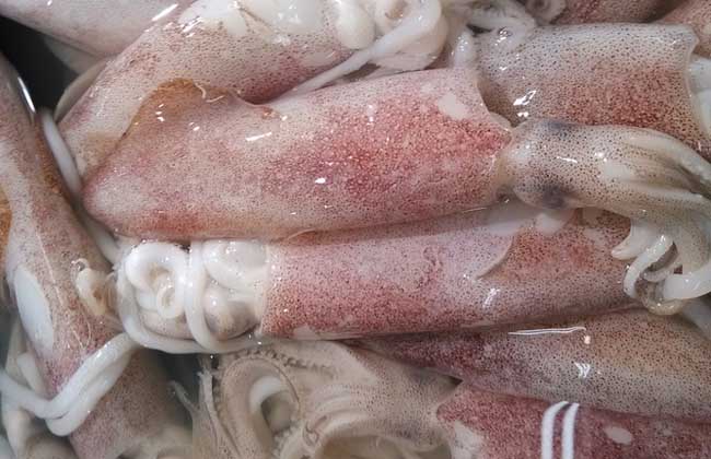 鱿鱼怎么处理？