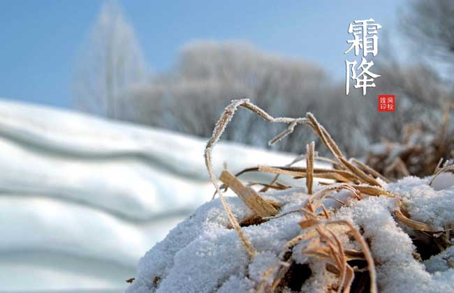 二十四节是那些