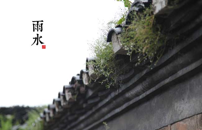 雨水节气是什么意思？
