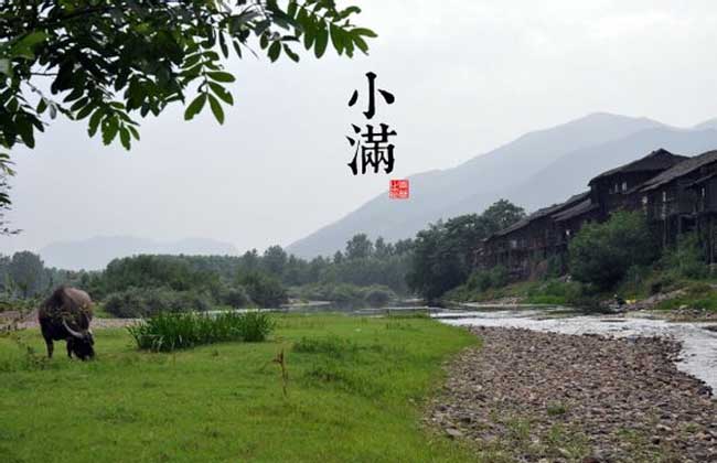 小满节气是什么意思？