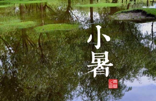 小暑节气是什么意思？