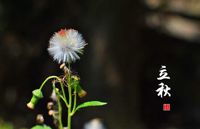 2017年立秋是什么时候？