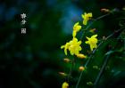 春分习俗有哪些？