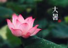 2017年大暑是几月几日？