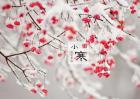 小寒节气是什么意思？