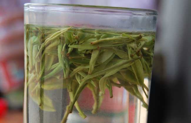 白茶的泡法技巧