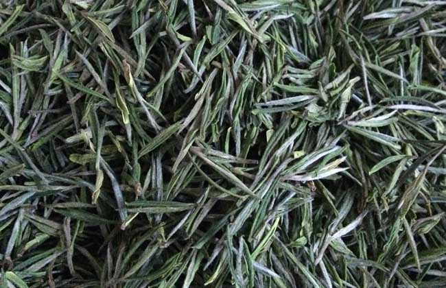 安吉白茶价格多少钱