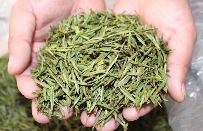 安吉白茶价格多少钱